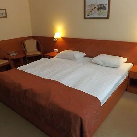 Aquamarin 호텔 Hévíz